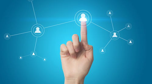 成都软件开发的技术水平保障策略